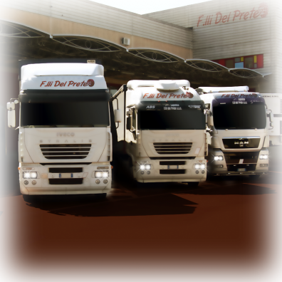 flotta_04.png